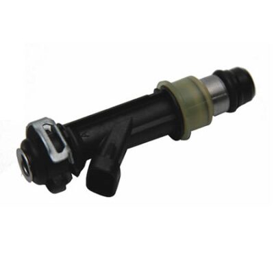25319301 INYECTOR DE COMBUSTIBLE CHEVY C2 04-08 1.6L; BUICK 04-08 COSA 1.6L (FJ10596)